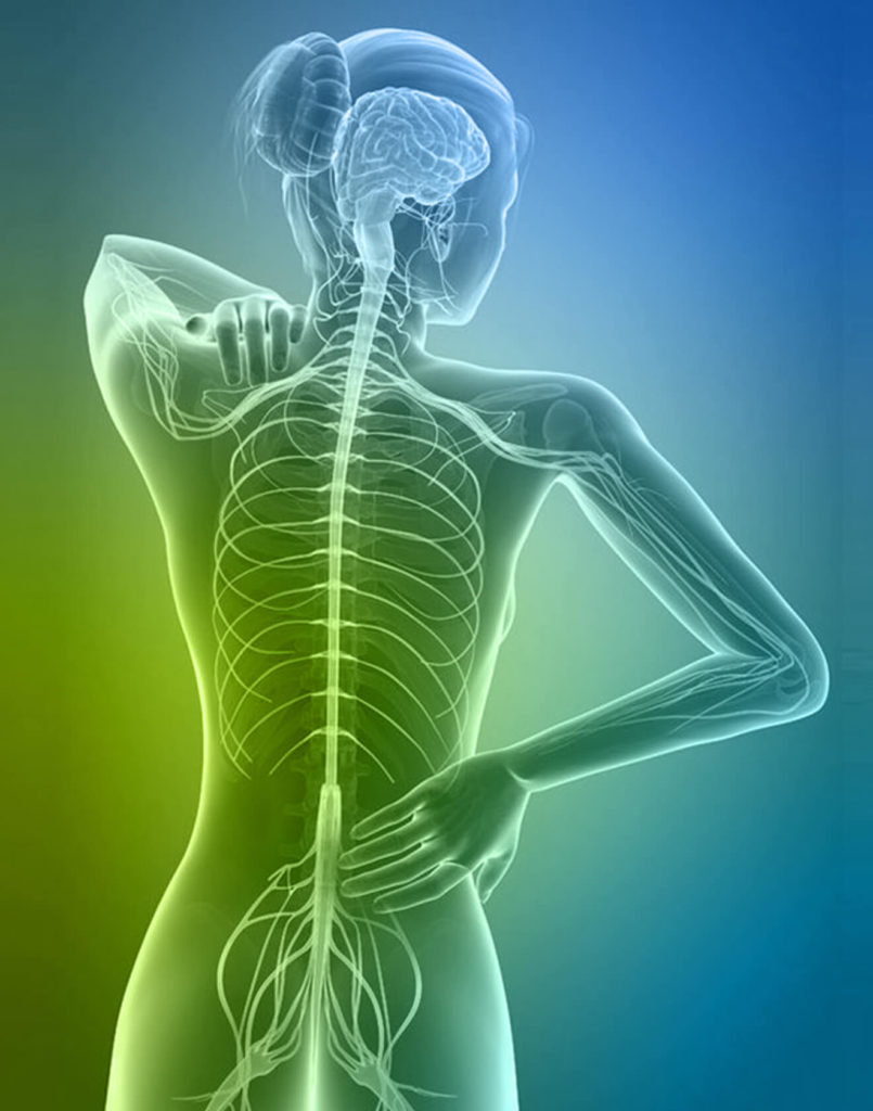 Multiple Sclerosis Chiropractic Begin Within
